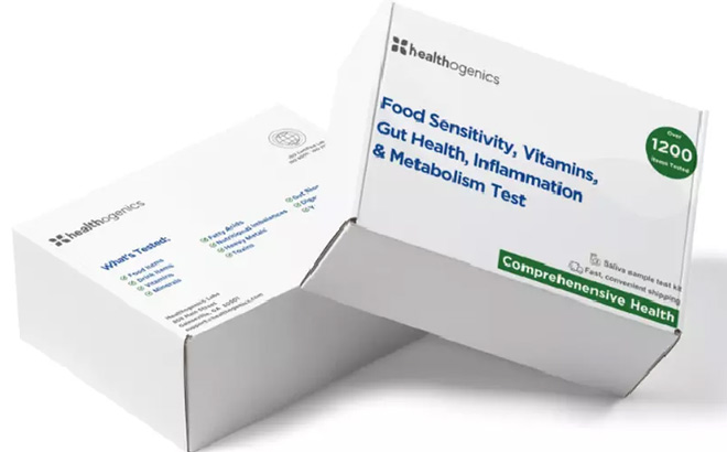 Food Sensitivity Test Kit Included 800 Items Tested