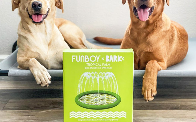 Funboy Tropical Palm Splash Pad in a Box in front of Dogs on a Pet Bed