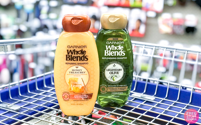 Garnier Whole Blends Hair Care