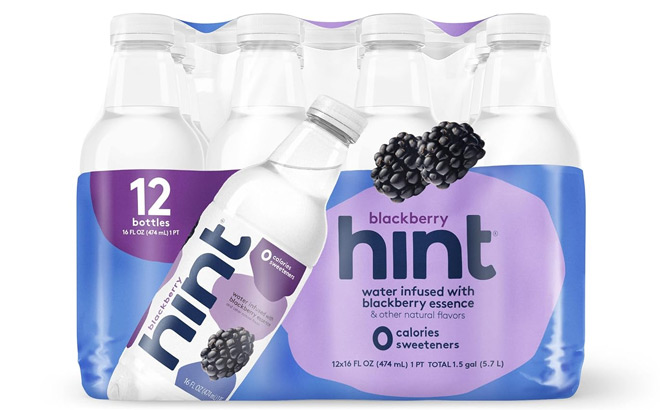 Hint Blackberry Water 12 Pack