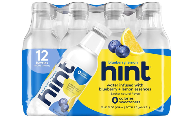 Hint Water Blueberry Lemon 12 Pack