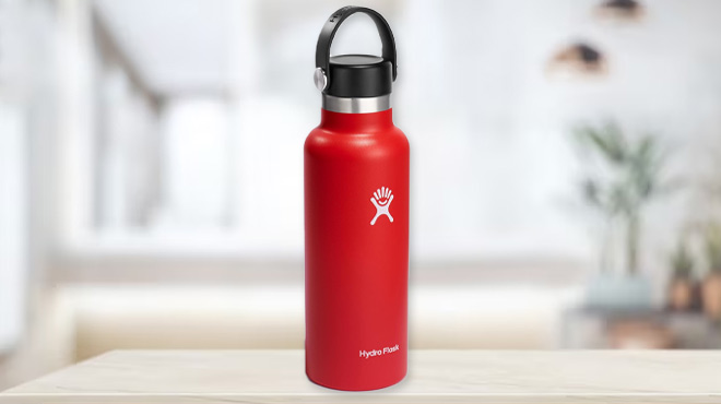 Hydro Flask 21 oz Standard Mouth Water Bottle with Flex Cap