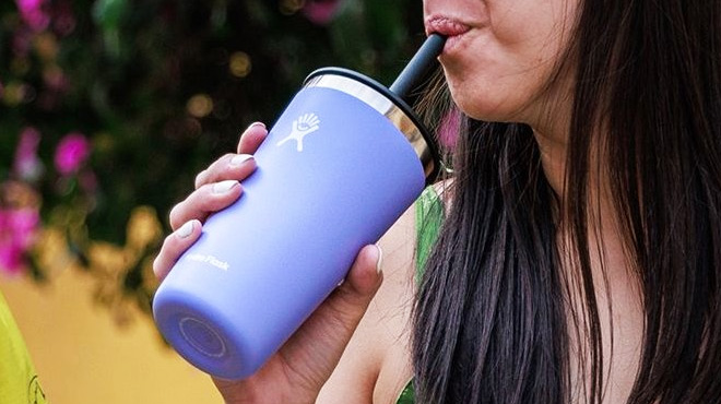 Hydro Flask All Around Tumbler Lupine