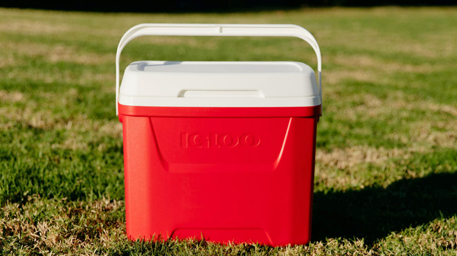 Igloo 28 Quart Laguna Hard Sided Ice Chest Cooler in Red