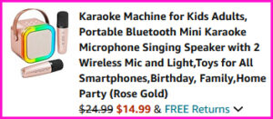 Karaoke Machine Checkout Screen