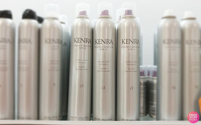 Kenra Perfect Medium Spray 13