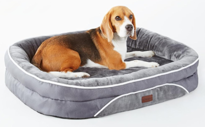 Large Orthopedic Dog Bed