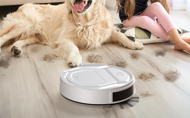 Lefant M210 Pro Robot Vacuum Cleaner