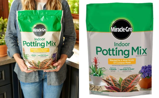 Miracle Gro Indoor Potting Mix