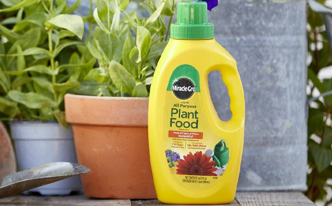 Miracle Gro Liquid All Purpose Plant Food Concentrate