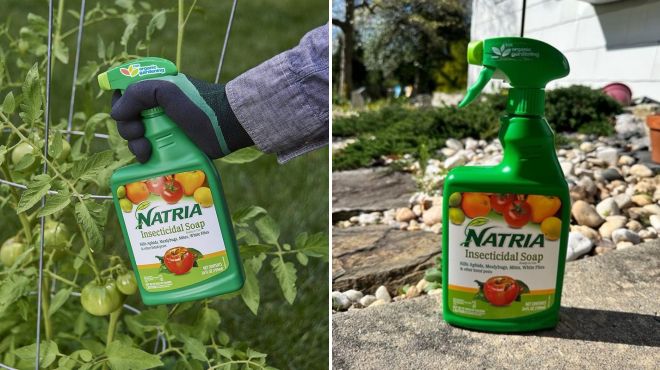 Natria Insecticidal Soap Insect Killer and Miticide for Organic Gardening