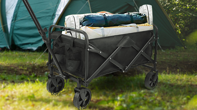 Neotec Collapsible Folding Wagon Cart