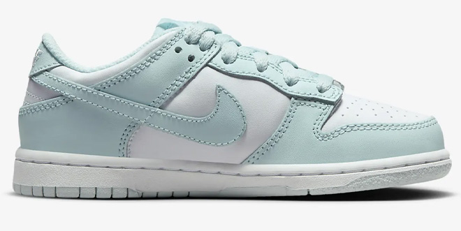 Nike Dunk Low Kids Shoes