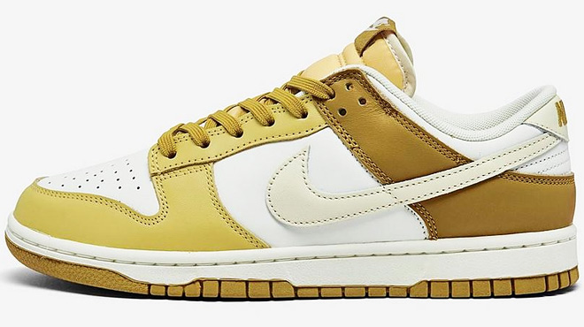 Nike Dunk Low Retro Casual Mens Shoes