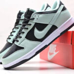 Nike Dunk Low Retro Premium Shoes Leaning on a Box