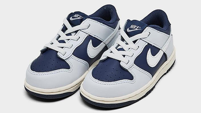 Nike Dunk Low Toddler Casual Shoes