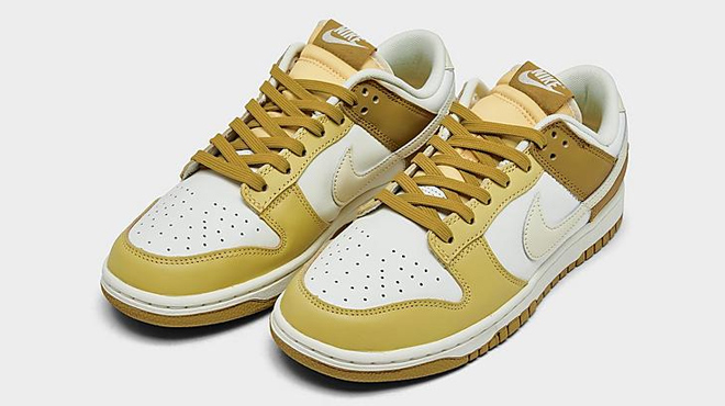 Nike Dunk Mens Low Retro Casual Shoes