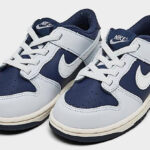 Nike Dunk Toddler Low Casual Shoes