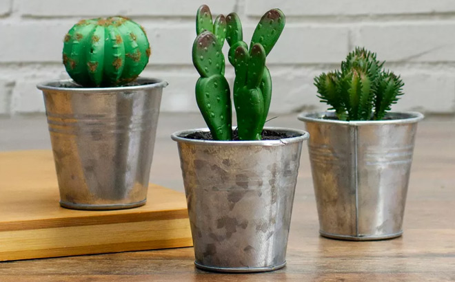 Northlight Tropical Cactus in Tin Pot