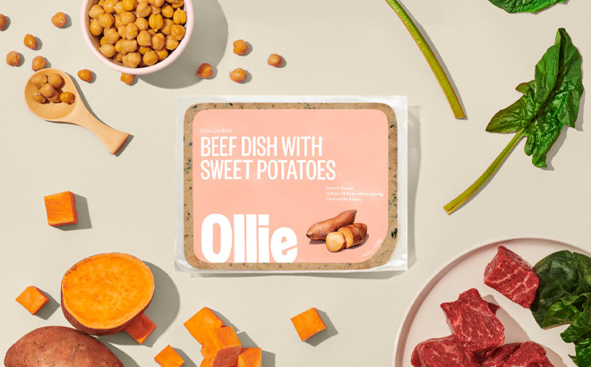 Ollie Dog Food Pack