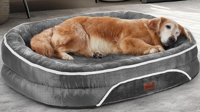 Orthopedic Dog Bed