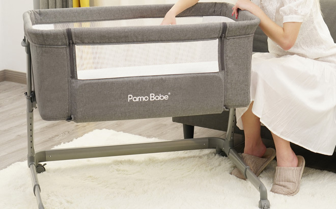 Pamo Babe Unisex Infant Bedside Sleeper Bassinet with Wheels and Folding Frame