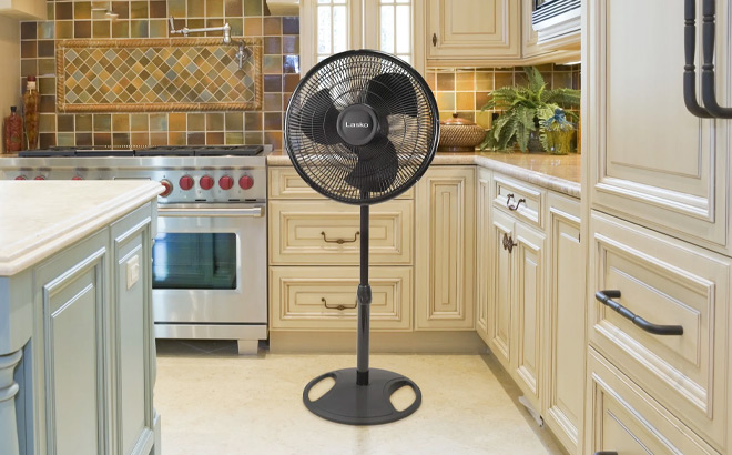 Pedestal Fan with 3 Speeds