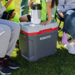 People Sitting Around the Igloo 30 Quart Latitude Roller Cooler in the Color Gray