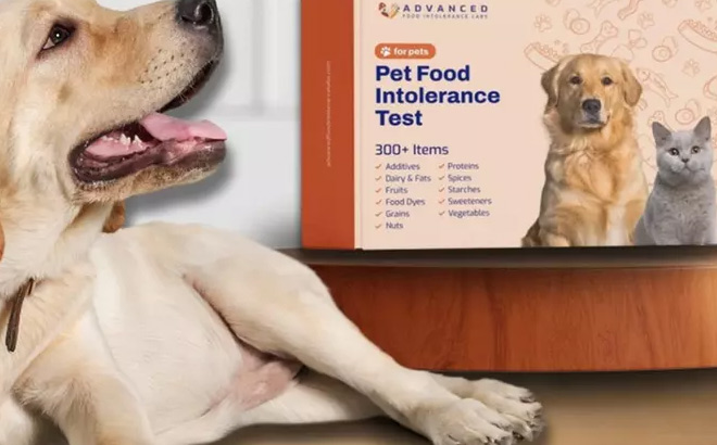 Pet Food Sensitivity and Allergy Test