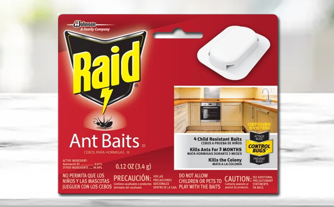 Raid Ant Baits on a Table