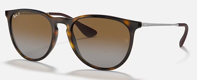 Ray Ban Erika Classic Sunglasses