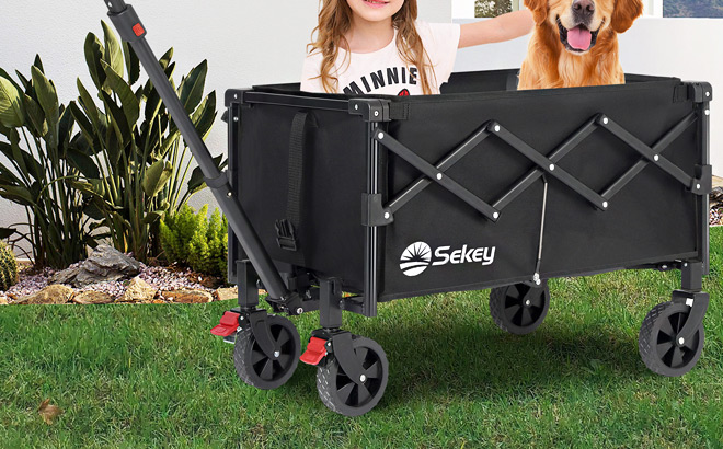 Sekey Collapsible Foldable Wagon in Black Color