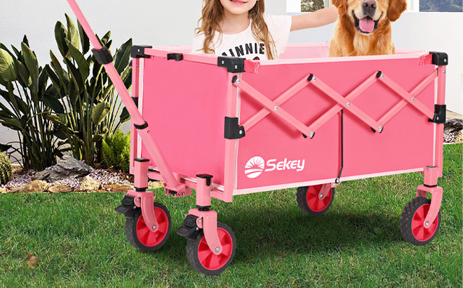 Sekey Collapsible Foldable Wagon