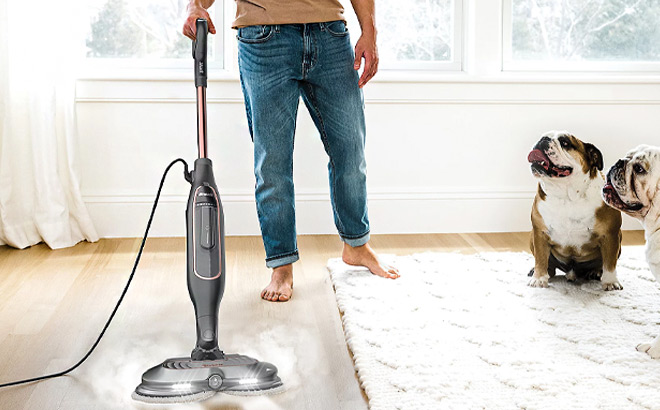 Shark Steam Scrub Mop