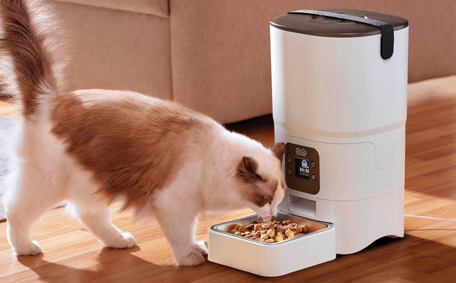 Smart Automatic Pet Feeder 6 Litter