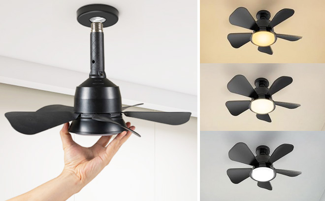 Socket Ceiling Fan with Lights