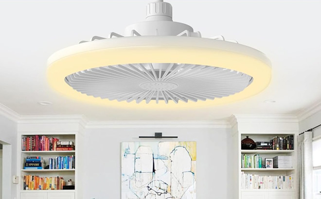 Socket Ceiling Fan with Lights