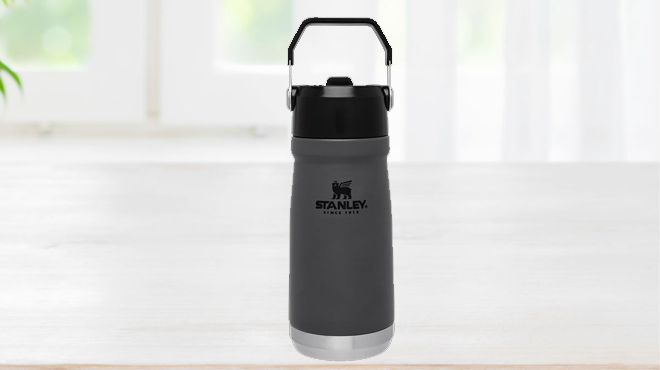 Stanley 17 oz Straw Water Bottle