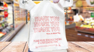 Thank You Plastic Bags 1050-Count for $29 Shipped at Amazon | Free ...