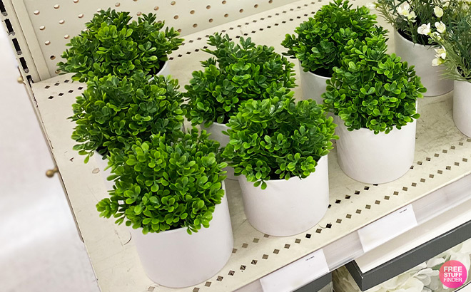 Threshold Artificial Boxwood Plants on the Shelf