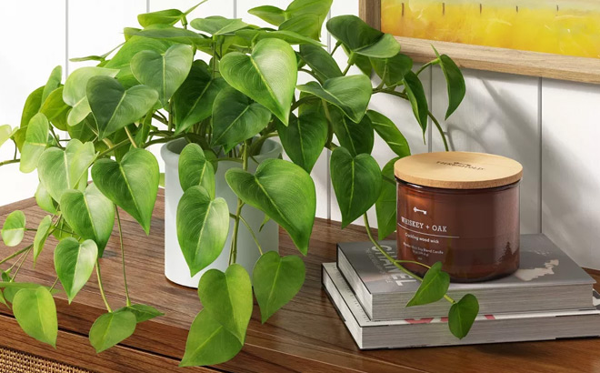 Threshold Artificial Pothos Plant