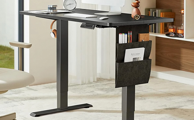 Totnz Electric Standing Desk