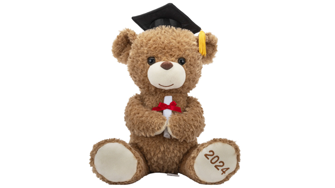 Way To Celebrate Graduation 2024 12 inch Brown Bear