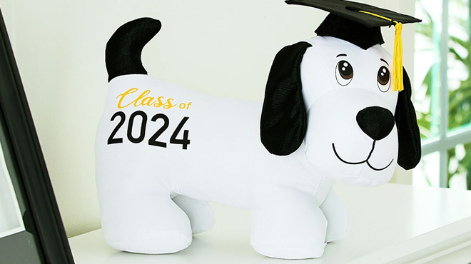 Ways To Celebrate Graduation 2024 Autograph Puppy Plush