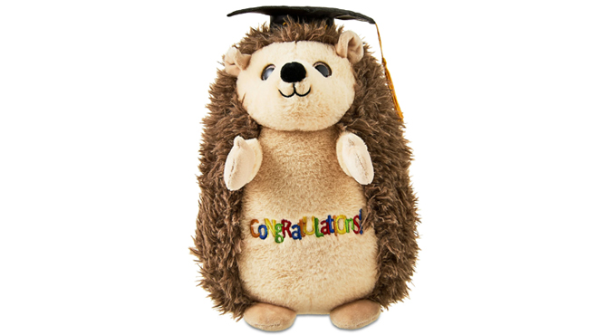 Ways To Celebrate Graduation 2024 Hedgehog Plush