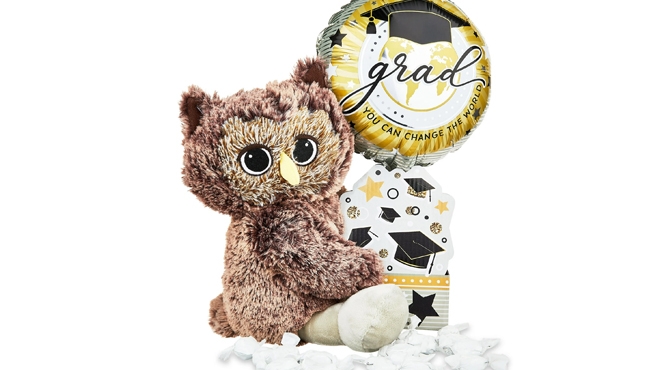 Ways To Celebrate Graduation 2024 Owl Plush