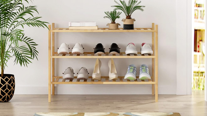 ZL House 3 Tier Shoe Rack