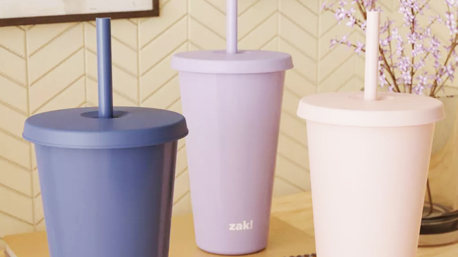 Zak Designs 25 oz Solid Straw Tumbler Set 3 pk