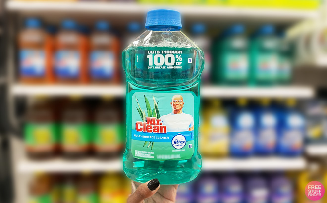 a Person Holding Mr Clean Multi Surface Cleaner