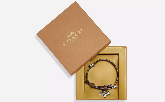 1 Coach Outlet Boxed Small Pet Collar In Signature Canvas